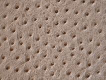 Etier Gusto Single Watch Roll Light Cappuccino Ostrich Leather