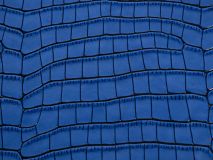 Etier Verdi Double Watch Roll Blue Crocodile Leather