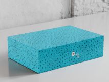 Etier Watch Rolls & Case Aqua Ostrich Leather Set