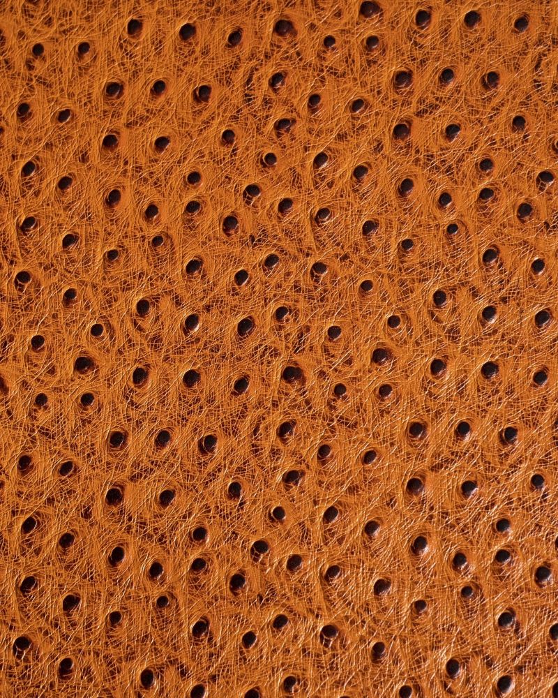 Etier Gusto Single Watch Roll Tan Ostrich Leather